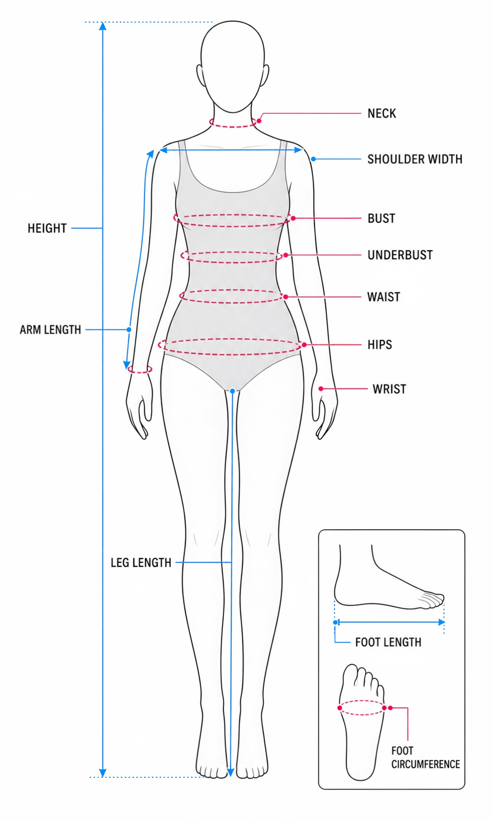 Doll body measurement guide showing height, bust, underbust, waist, hips, shoulders, arms, legs, neck, wrist, and feet