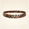 Leopard Afternoon - Image 5